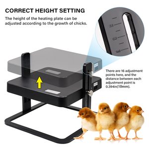 HHD Ideal for Backyard Farms Chick <strong>Brooder</strong> Heater Plate - Product Image 5