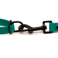 Ensemble de harnais pour chien en PVC couleur unie, motif nid d'abeille, avec rubans ajustables et tendance, laisse durable, imperméable et résistante à l'étirement, pour toutes les saisons