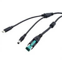 12VPowered USB CORE ke TYPE-C Male + DC5.5 X 2.1 kabel Male 2 m kabel pengisi daya hitam untuk mesin POS