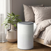 Purificateur d'air OEM électrique blanc personnalisable avec filtre HEPA et charbon actif, en métal, silencieux, mode veille, pour odeurs d'animaux domestiques