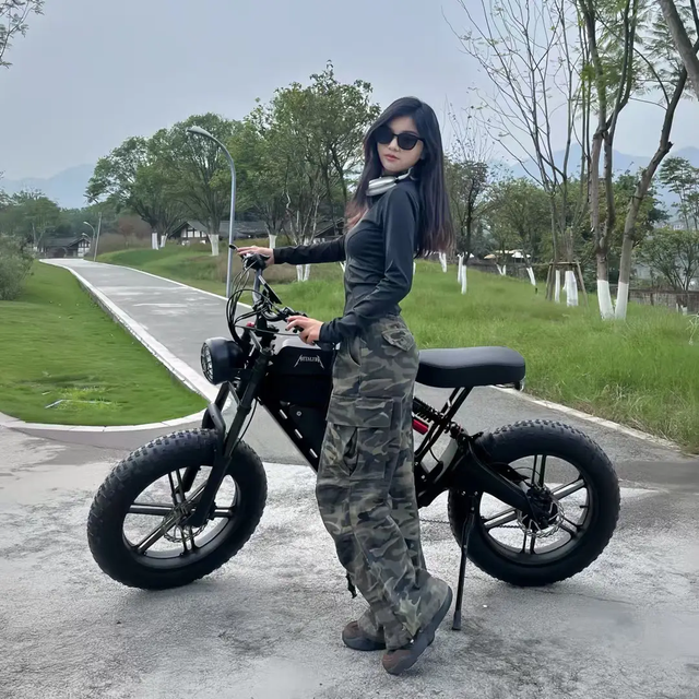 Non Foldable Fast Speed 750w 48v Batterie Ebike Bici Elettrica 1000w E Bicycle Electric Bike