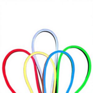 Double-Layer Coated IP65 Silicone Waterproof RGB LED Neon Light DC12V Ra80 3-Year Warranty - Product Image 1