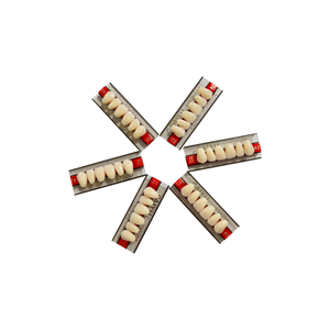 Dentadura de resina sintética de dos capas Anterior personalizada de fábrica <span class=keywords><strong>CAIYU</strong></span>, certificado CE ISO, accesorios de equipo de terapia oral Manual - Product Image 5