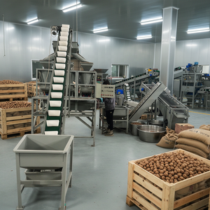 <span class=keywords><strong>Machine</strong></span> à casser les <span class=keywords><strong>noix</strong></span> de pécan et les <span class=keywords><strong>noix</strong></span>, capacité 500 kg/h - Product Image 1