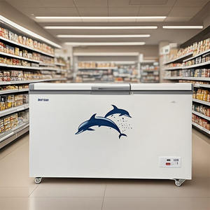 Réfrigérateur de préparation alimentaire à température unique de 0,9 m de Chine avec conception de porte ouverte, congélateur profond et vitrine à glaces - Product Image 5