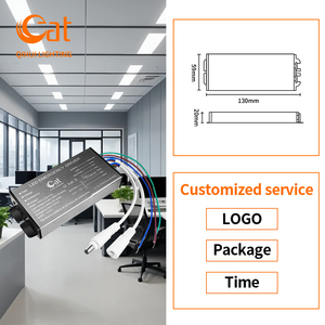 3-60W Bảng điều chỉnh xuống ánh sáng tại chỗ dẫn GU10 đèn Dải khẩn cấp <span class=keywords><strong>Kit</strong></span> với Dimmable dẫn lái xe đầu ra kép 230V đầu vào nhựa trường hợp - Product Image 5