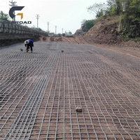 Geogrid de Poliéster de Alta Resistencia Georoad con Certificación CE y 5 Años de Garantía para Refuerzo de Muros de Contención
