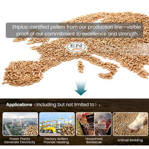 Machine à granulés de biomasse RICHI - Certification CE 75 kW - Machine à granulés de paille et de balles de riz - <span class=keywords><strong>Prix</strong></span> - Product Image 4