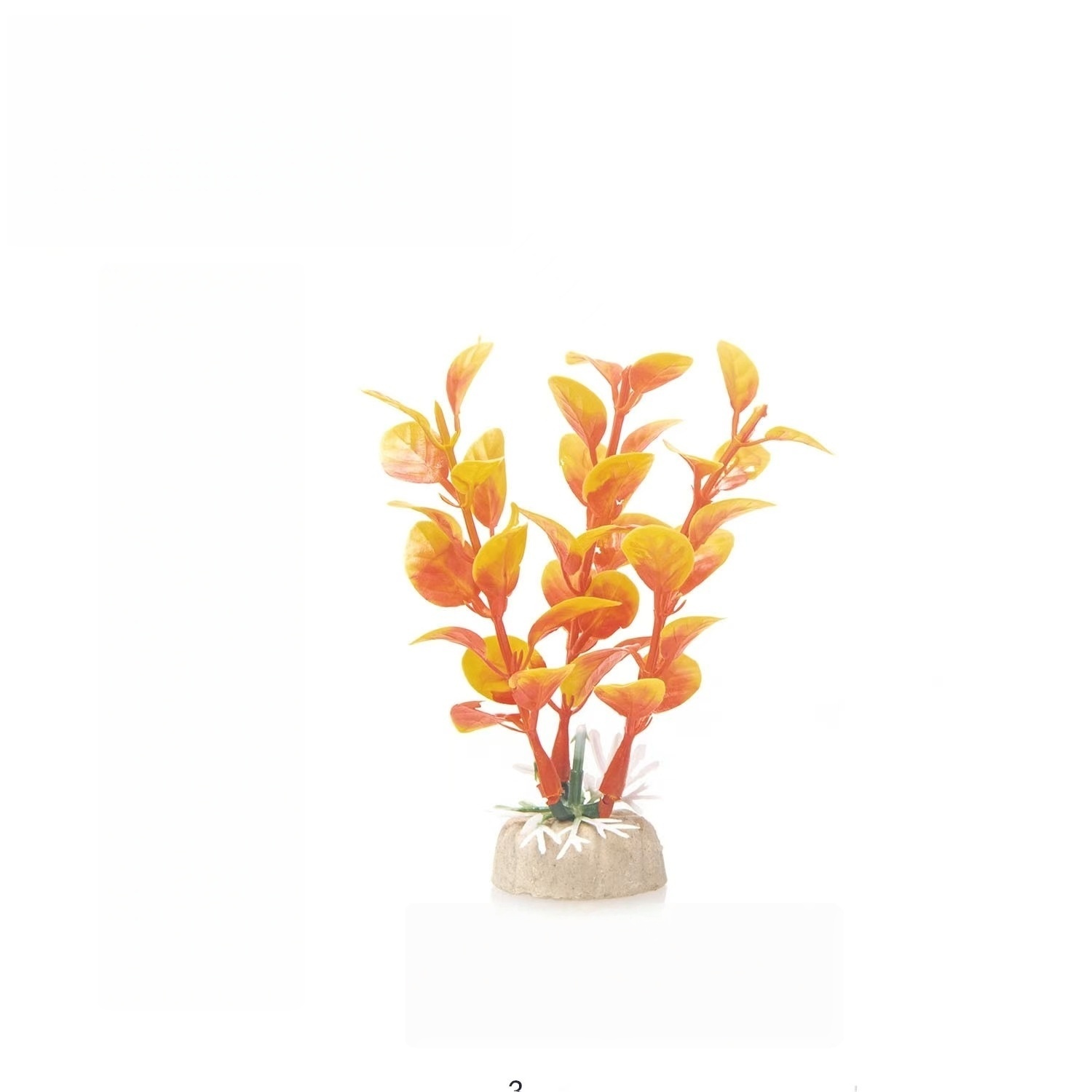 02 Orange