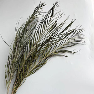 ดอกไม้จริงสำหรับตกแต่งงานแต่งงานใบไม้ต้นปาล์มอาเนก้าแห้ง2026 - Product Image 5
