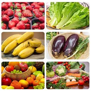 Machine à laver les tomates Offre Spéciale/Machine à laver les bulles d'air/Machine à laver et sécher les pommes de terre - Product Image 6