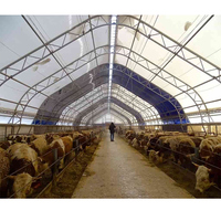 Carpa de Almacenamiento de Panel Sándwich de Acero Moderna de Alta Calidad, 1000, 2000, 3000 m², Impermeable, para Eventos al Aire Libre, Comercial, de Alta Resistencia