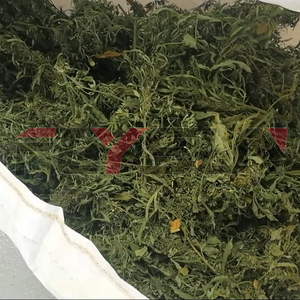 Lưới-vành đai loại thuốc lá lá Máy sấy lá thuốc lá Thiết bị hút ẩm thực vật máy sấy - Product Image 6