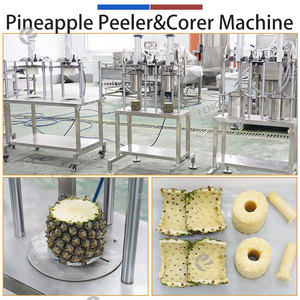 Juego combinado para procesamiento de piña: Cortador de cola, despulpador neumático, descorazonador, rebanador de anillos y cuñas 2 en 1. Precio de paquete para plantas de frutas. - Product Image 3
