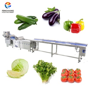 OEM & ODM <b>Bell</b> Pepper, Coriandar, Lettuce, Cucumber, Cabbage Vegetable Washing Machine with Drum - Product Image 1