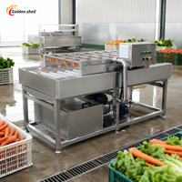 Industriële aardappel-wortel-cassave parallelle borstelwasmachine fruit-groente reinigings- en wasmachine met borstelrollen