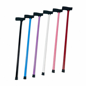 Bâton de marche en acier inoxydable avec poignée en T, léger, pour la randonnée en plein air, pour hommes et femmes - Product Image 4