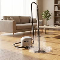 Nettoyeur vapeur multifonctionnel portable puissant pour tapis et canapés, idéal pour la maison et les taches tenaces - Vente en gros CE