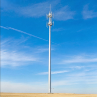 Tour Monopode de Communication Urbaine pour Antenne Cellulaire Wi-Fi, en Acier Q355B Galvanisé à Chaud, Installation Facile