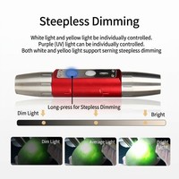 Lampe torche porte-clés professionnelle en acier inoxydable 304, lumière rouge, 3 LED 650nm, réflecteur en aluminium, indice de protection IP55, rechargeable, faisceau spot