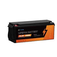 Batterie LiFePO4 personnalisée 12v 24v 48v 100ah 200ah 300ah pack de batterie au lithium pour véhicule