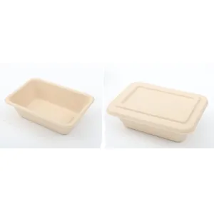 Biodegradable fresh tray lunch box vegetable sugarcane pulp bamboo pulp supermarket fruit tray packaging factory customized