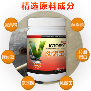 Wholesale Racing <strong>Pigeon</strong> <strong>Supplements</strong> Custom Flavor Vitamins Immune Improvement Fatigue Resistance Feed Powder - Product Image 5