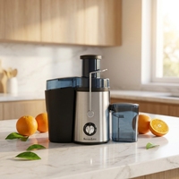 Extracteur de Jus Électrique Professionnel Commercial Personnalisable Multifonctionnel pour Usine – Machine à Jus de Fruits