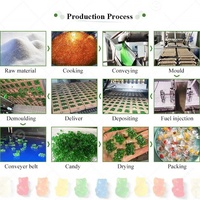 Ligne de production Les Bonbons Qarn Ghazal Ours Bonbon Gélatine Agar Gummy Carton Bonbon Maker Machine