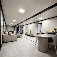 Maison conteneur modulaire préfabriquée extensible à double aile de 20 pieds, amovible, mobile, pliable, espace de vie extérieur, modèle YJ004