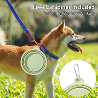 Bol pliable en silicone étanche IPX6 de 350 ml pour chien, qualité alimentaire, pour l'extérieur, les voyages, les fêtes, avec mousqueton