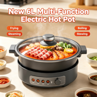 Marmite Électrique Détachable Antiadhésive 2-en-1 de 6L pour Camping et Maison – Approvisionnement Direct Usine