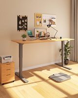 Bureau Assis-Debout Ordinateur Ergonomique Électrique en Acier à Double Moteur Réglable en Hauteur Automatique Confortable Blanc