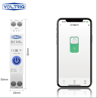 VOLTRIQ usine 63A TUYA compteur de synchronisation protection contre les surcharges tension WiFi télécommande sans fil interrupteur de disjoncteur intelligent