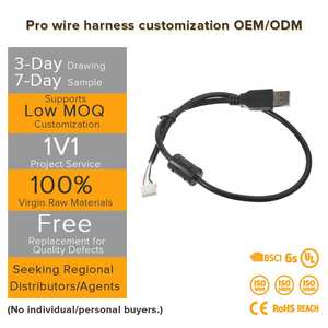 专业OEM汽车摩托车电气线束PBT/PVC电缆制造商，为计算机系统提供IP65防护 - Product Image 1
