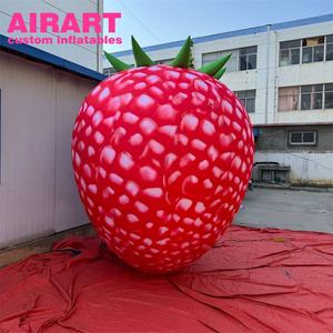 Myrtille gonflable géante pour les promotions agricoles Ballon gonflable pour les salons professionnels - Product Image 5