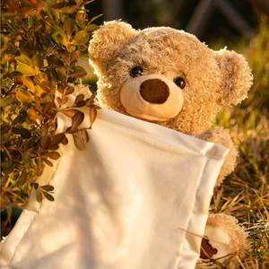 Oso de Peluche Musical Eléctrico de Dibujos Animados para Jugar al Escondite, Juguete Educativo Temprano, Muñeco de Peluche para Niños - Product Image 2