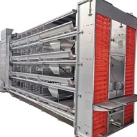 Nouveau grand équipement de poulet à œufs en couches Cage à poulets de chair cryptée épaissie entièrement automatique ferme de poulet en acier à haute productivité