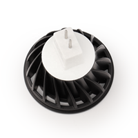 Ampoule LED basse tension 12V LT1016E compatible avec l'éclairage paysager, étanche pour jardin extérieur, allée, patio