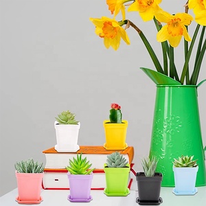 Maceta de plástico para semillero de flores, contenedor cuadrado colorido para plantas de interior y <span class=keywords><strong>exterior</strong></span>, para su habitación, jardín y oficina - Product Image 5