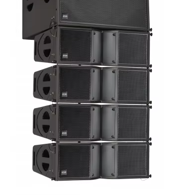 Professional Dual 10'' Line Array Speaker LA 210 With In/External Crossover for Large and Medium Sized Performance
