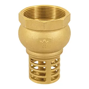 Master con 24 unità Pichancha con griglia in ottone 2 ', Foset - Product Image 1