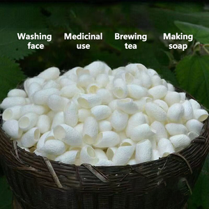 ลูกหนอนไหมลูกหม่<span class=keywords><strong>อน</strong></span>ธรรมชาติสำหรับดูแลผิวเครื่องสำอางความงาม - Product Image 4