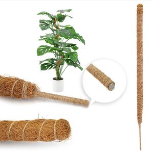 Palos de tutores de plantas para plantas trepadoras, palo de musgo de palma de coco - Product Image 4