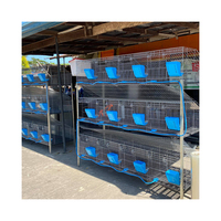 Cage à lapins personnalisable à 12 portes en fil galvanisé pour l'élevage