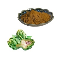 Extrait de feuille d'artichaut standardisé de haute qualité 5% Cynarine, extrait végétal naturel pour compléments alimentaires