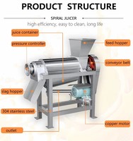 Presse-agrumes industriel commercial à vis pour fruits et légumes, machine à jus en acier inoxydable pour gingembre, agrumes et oranges