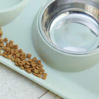 JXANRY Fourniture directe d'usine Assiette de nourriture écologique à double bol pour chat et chien Fournitures pour animaux de compagnie en plastique à motif solide