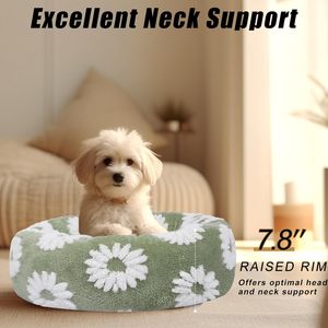 Cama para Perros y Gatos Pequeños, Diseño Moderno y Atractivo, Color Azul Sólido, Felpa Suave, Relleno de Piel Sintética 100% Algodón, Funda Extraíble - Product Image 2