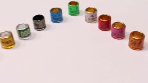 2025 üretim-doğrudan yüksek Qulaiyt 8mm altın düz alüminyum yüzükler özelleştirilmiş güvercin yüzükler kuş tasmaları papağan bacak aksesuarları - Product Image 2